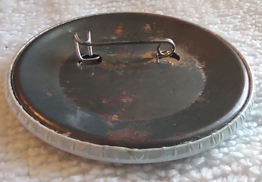 NASA Space Shuttle Columbia STS-1 2.25" Metal Pin Button Badge Young Crippen - Image 4