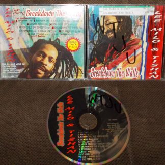 Breakdown The Walls by Lee Milo & Tishan (CD, 1996)