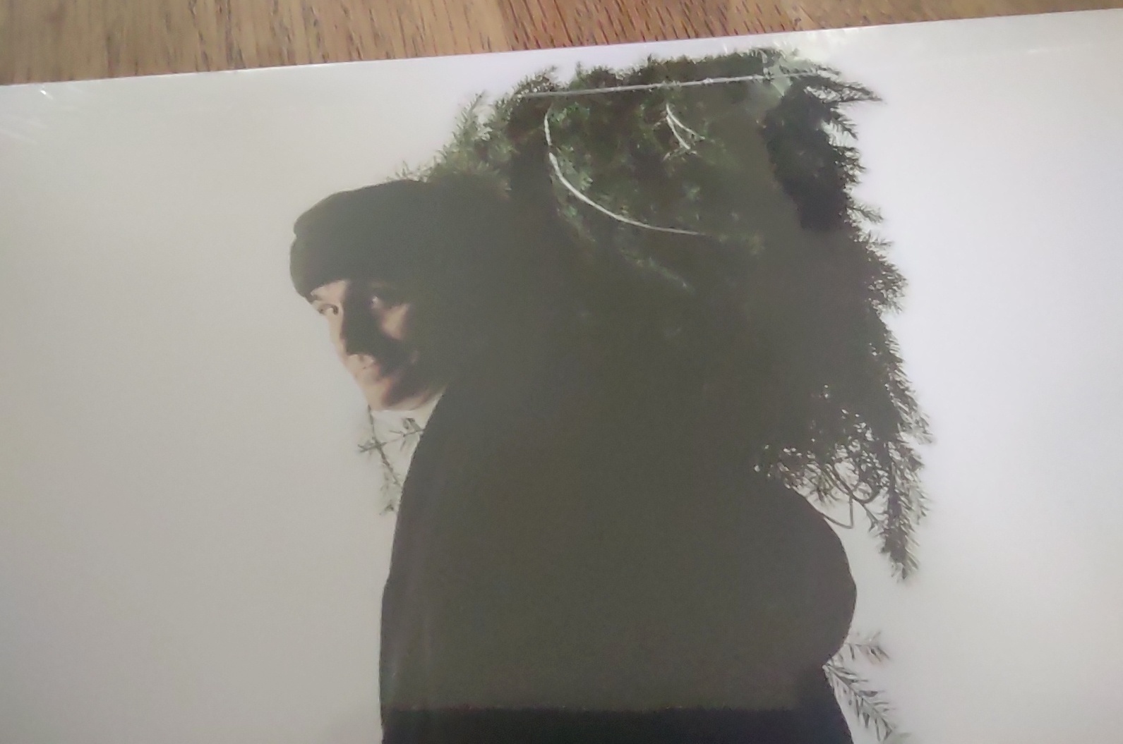 James Taylor At Christmas Vinyl Record 12" 33RPM Universal 2016 New in Plastic - Image 8