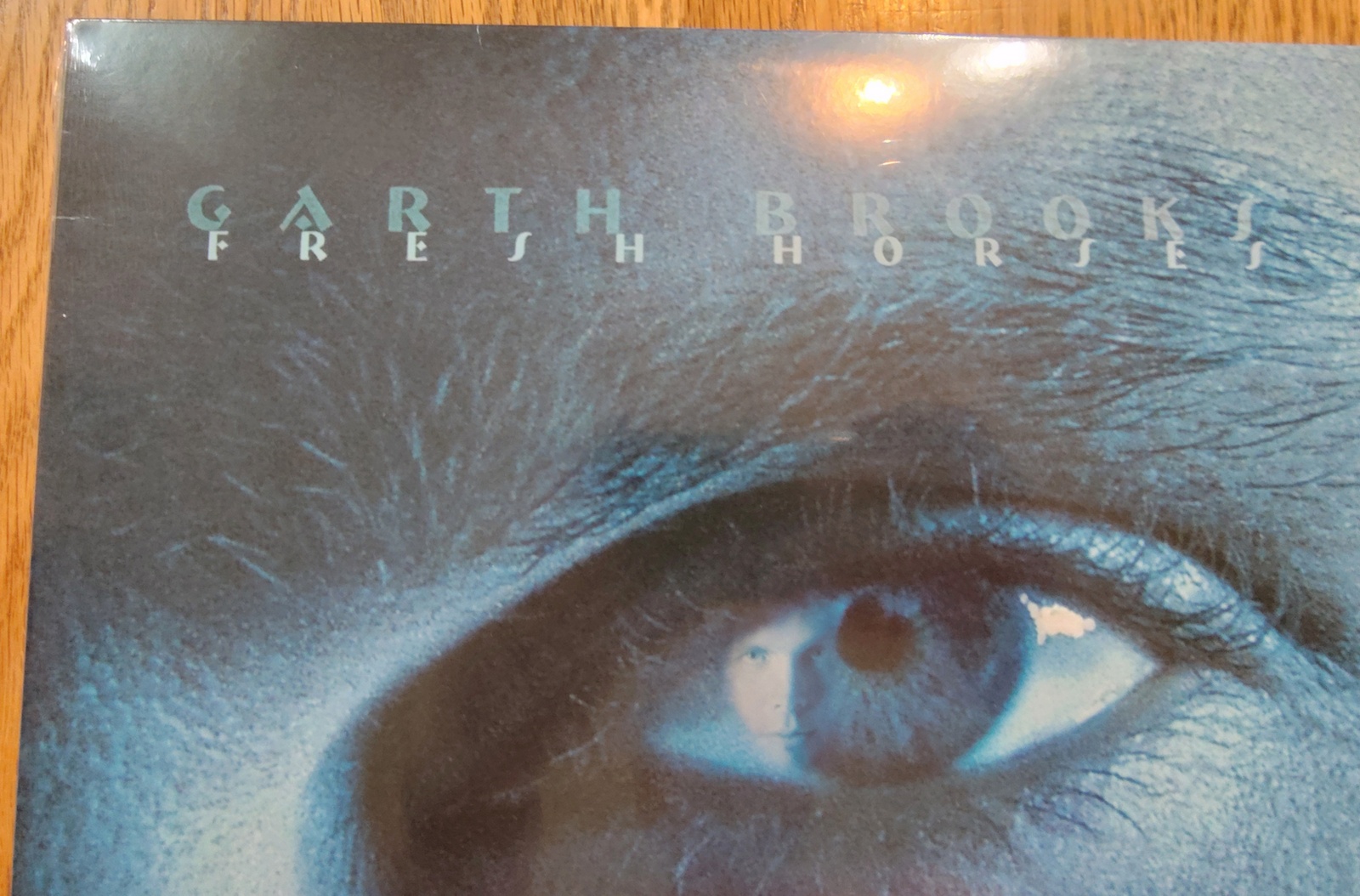 Garth Brooks Fresh Horses Vinyl Record 12" 33RPM Pearl 2019 New in Plastic - Image 3