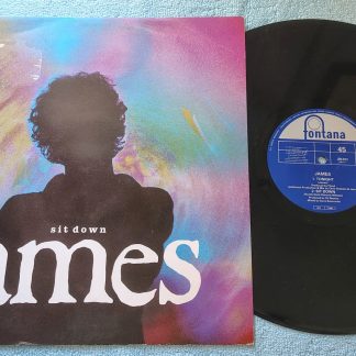 James Sit Down Alternative Indie Rock Single Vinyl Record 12" 45RPM 1991 Fontana